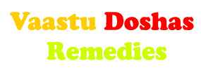 vaastudoshremedies.com